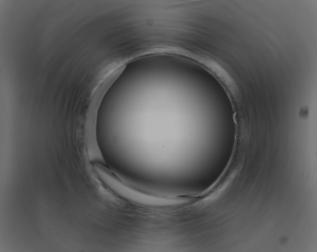 X0000094921001200712131510