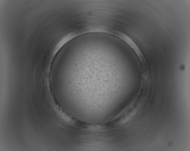 X0000094921002200712131510