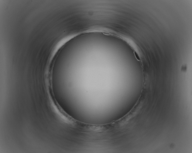 X0000094921003200712131510