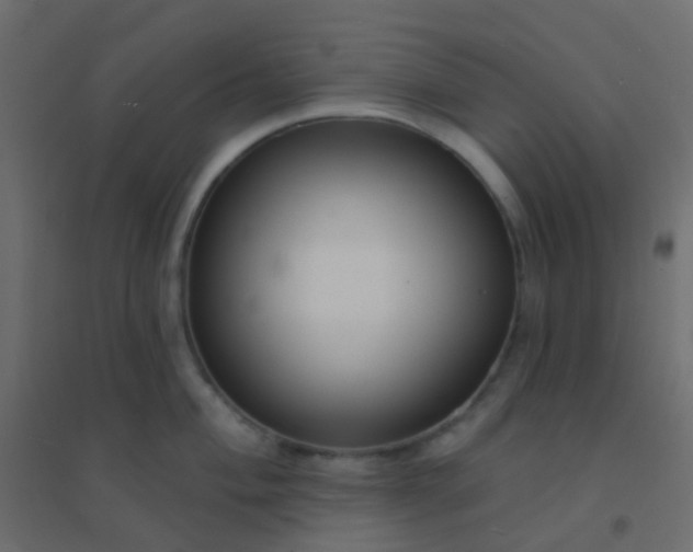 X0000094921004200712131510