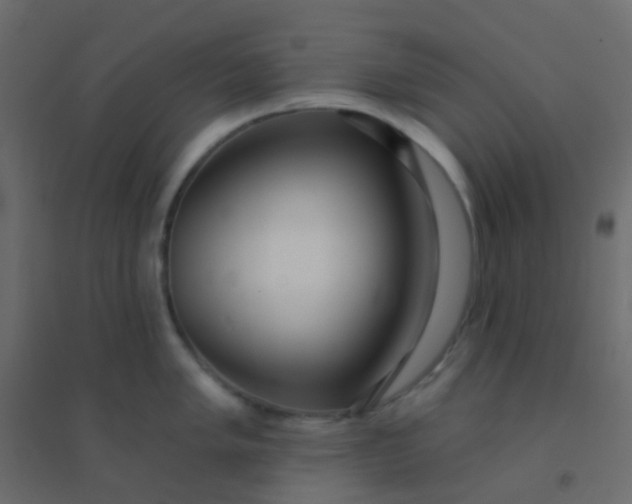 X0000094921005200712131510