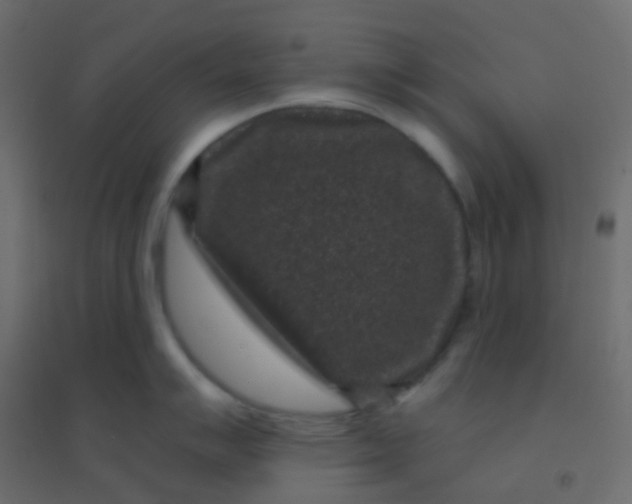 X0000094921007200712131510