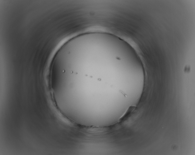 X0000094921008200712131510