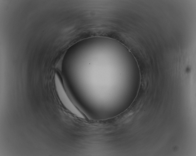 X0000094921010200712131510