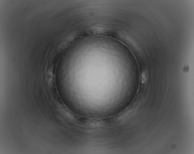 X0000094921011200712131510