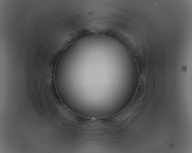 X0000094921012200712131510