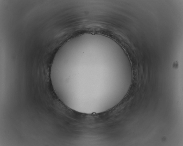 X0000094921013200712131510