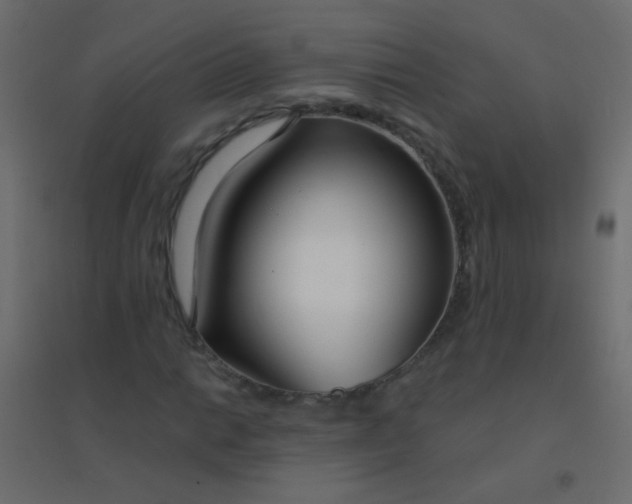 X0000094921014200712131510