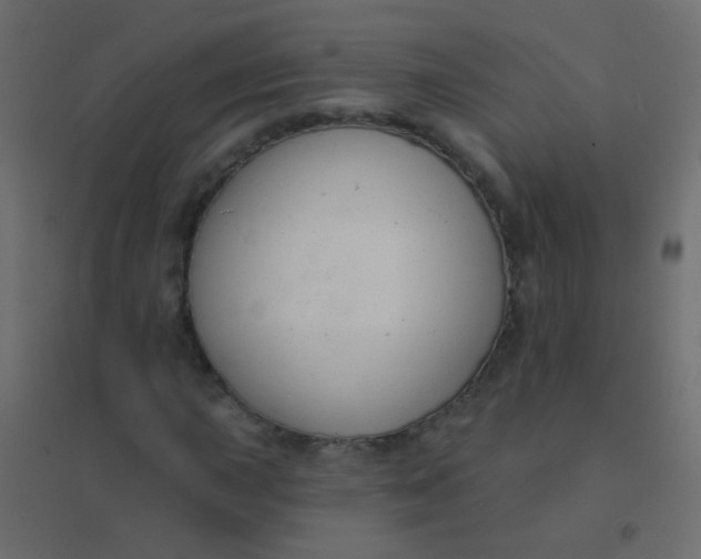 X0000094921015200712131510