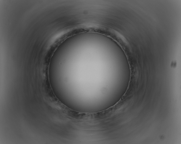 X0000094921016200712131510