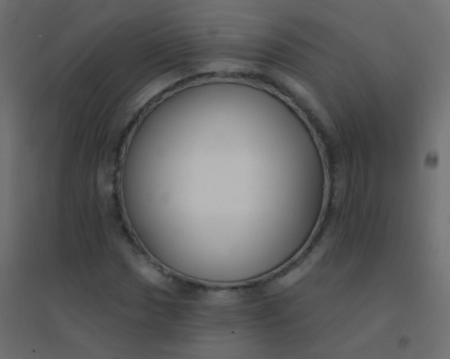 X0000094921017200712131510