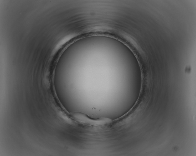 X0000094921018200712131510