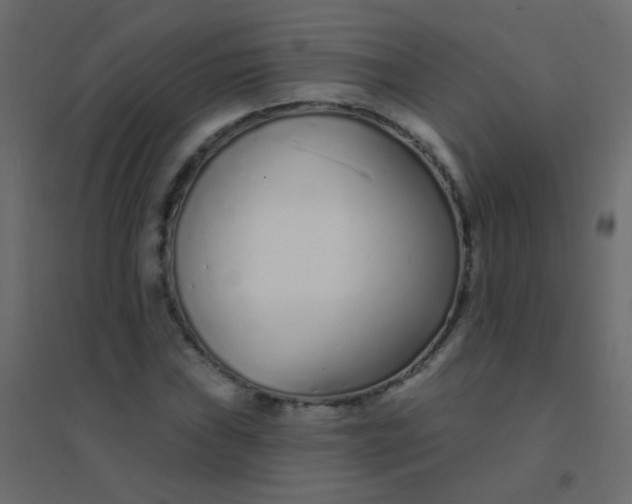 X0000094921019200712131510