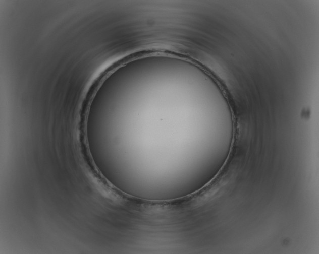 X0000094921020200712131510