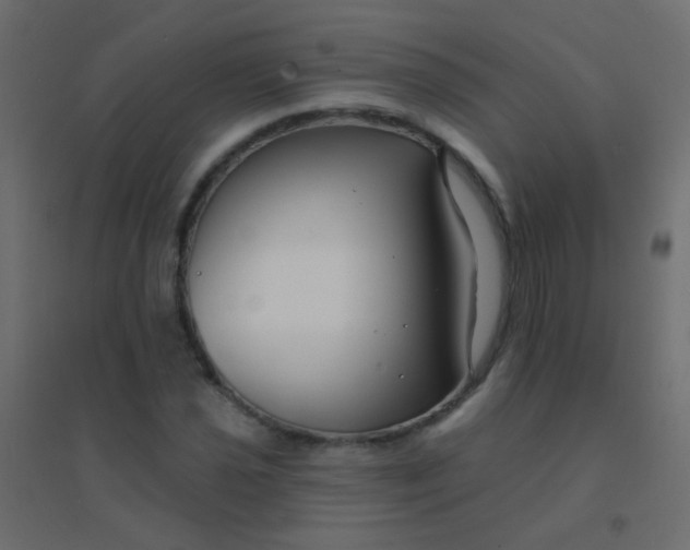 X0000094921021200712131510