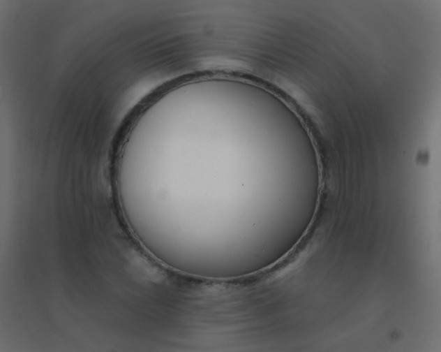 X0000094921022200712131510