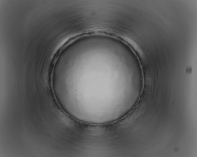 X0000094921023200712131510