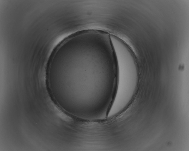 X0000094921024200712131510