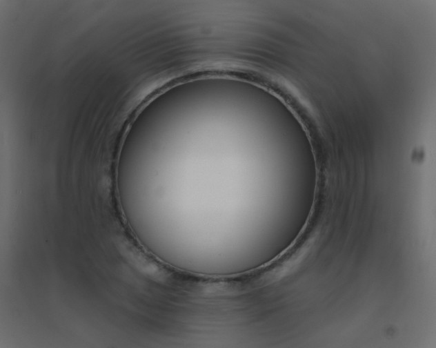 X0000094921025200712131510