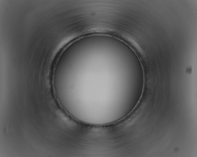 X0000094921026200712131510