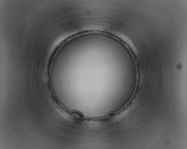 X0000094921027200712131510