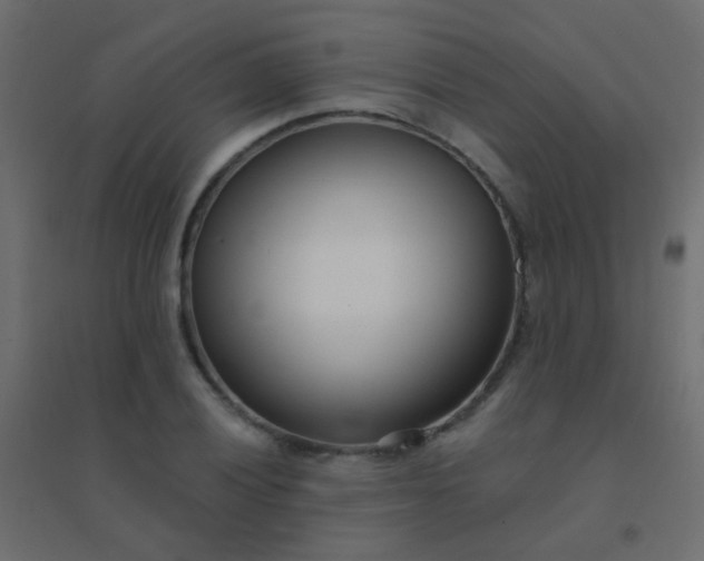 X0000094921028200712131510