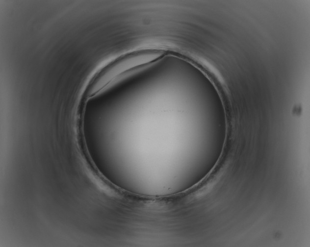 X0000094921029200712131510