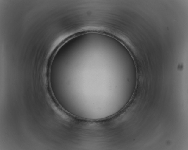 X0000094921030200712131510