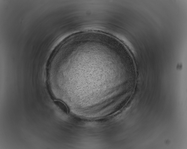 X0000094921031200712131510