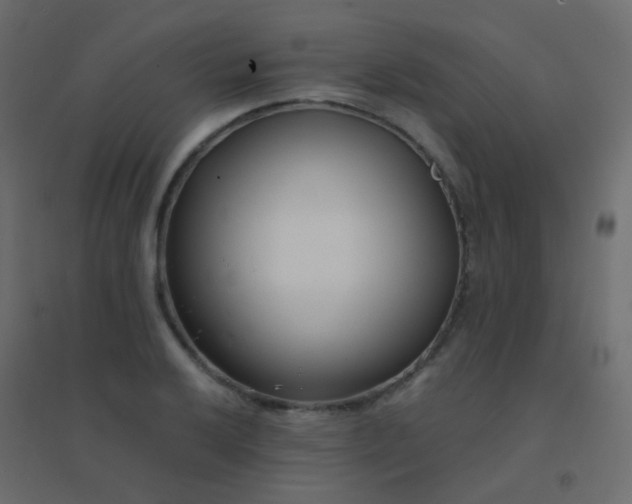 X0000094921032200712131510