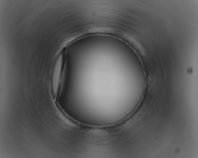 X0000094921033200712131510