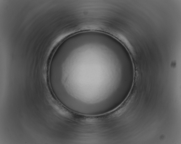 X0000094921035200712131510