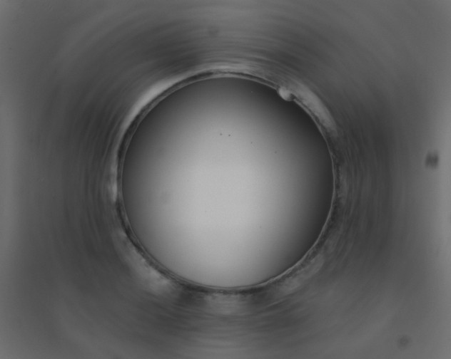 X0000094921036200712131510