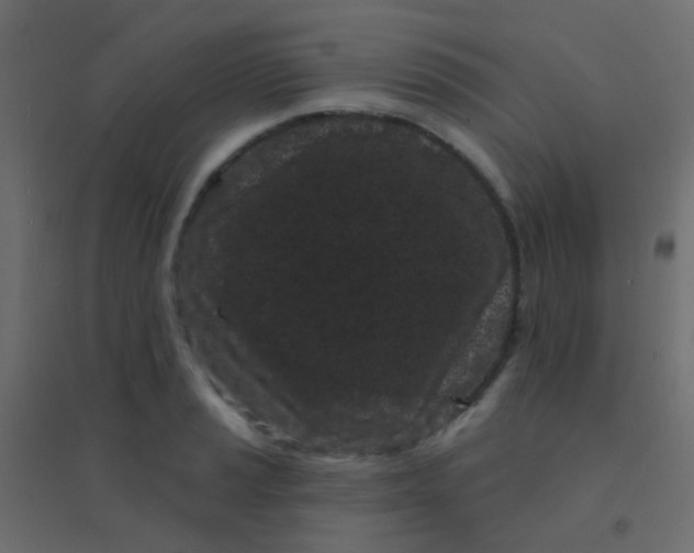 X0000094921037200712131510