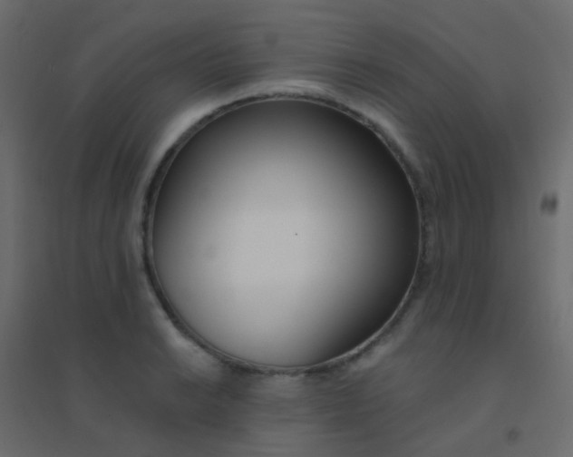 X0000094921038200712131510