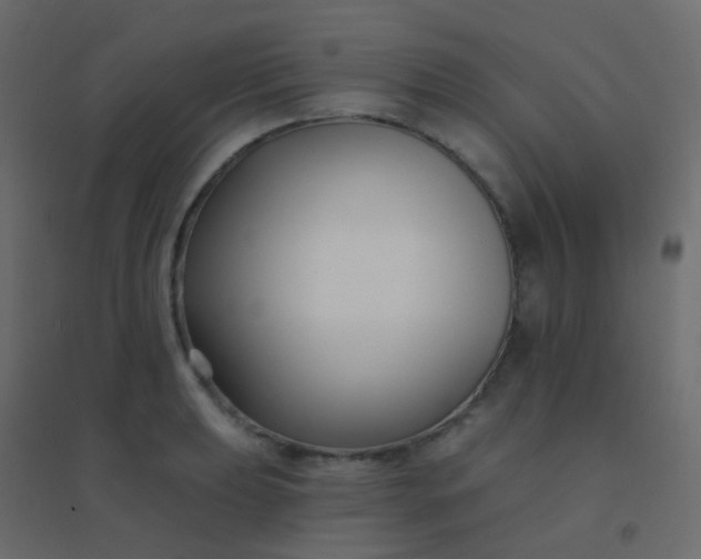 X0000094921039200712131510