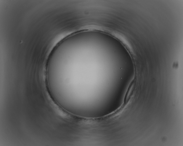 X0000094921040200712131510