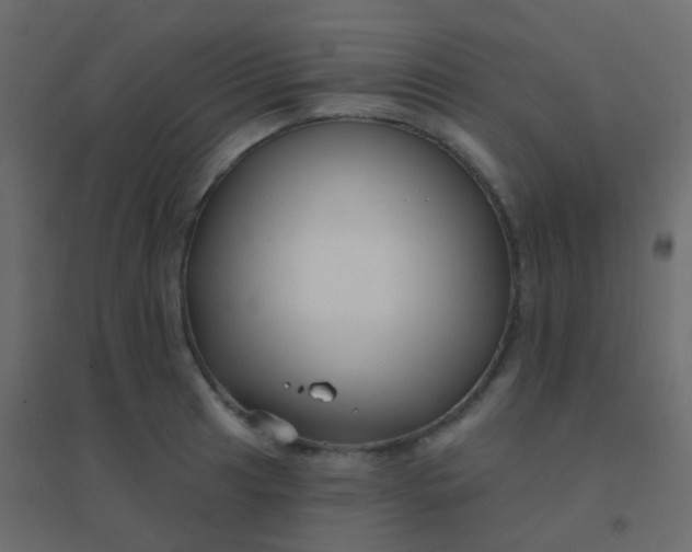 X0000094921041200712131510