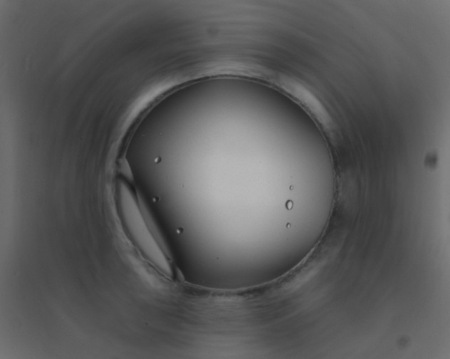 X0000094921043200712131510