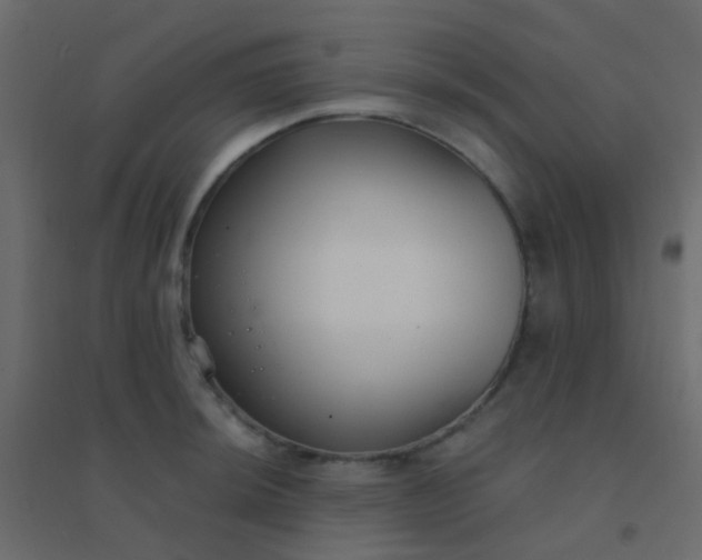 X0000094921044200712131510