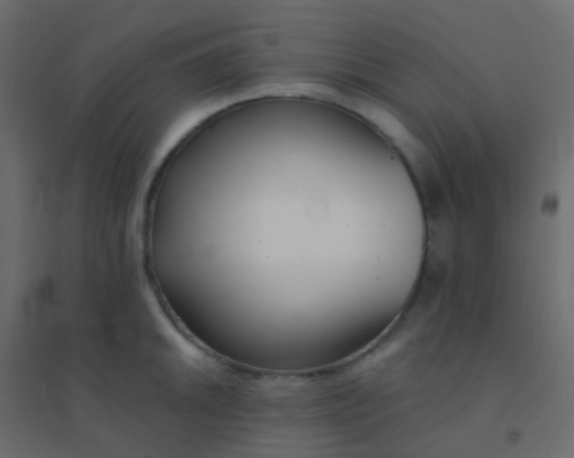 X0000094921046200712131510