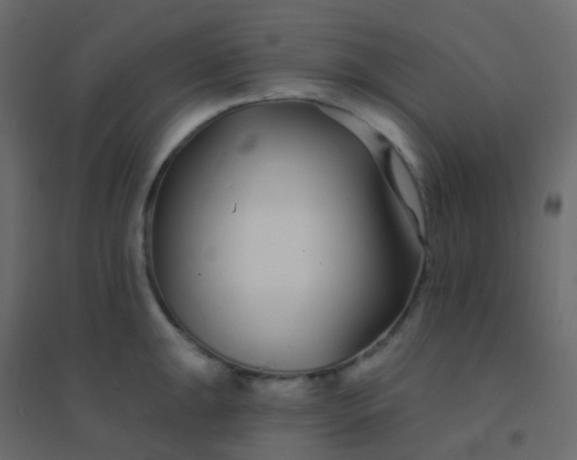 X0000094921047200712131510