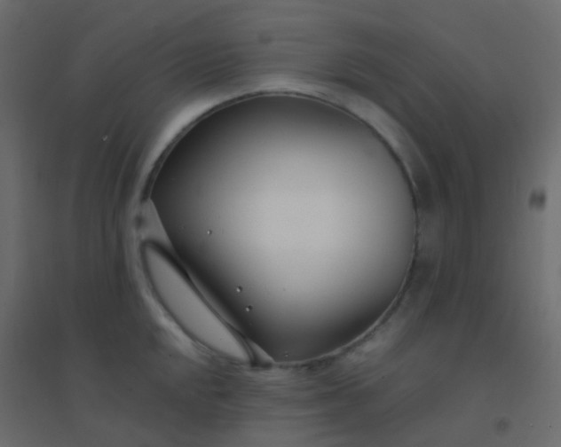 X0000094921048200712131510