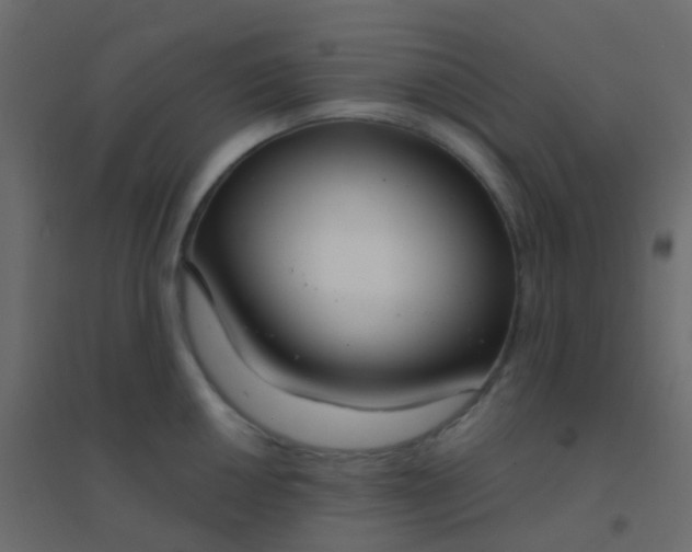 X0000094921050200712131510