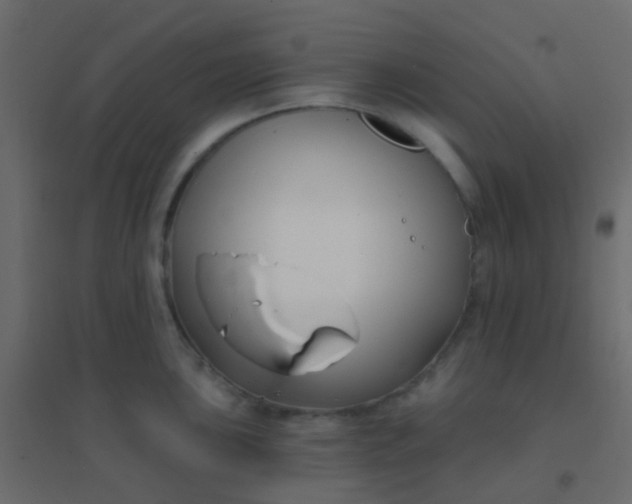 X0000094921051200712131510