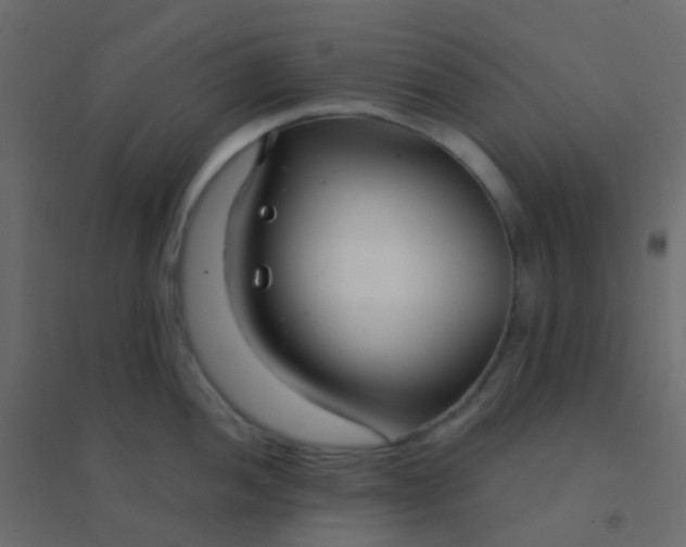 X0000094921052200712131510