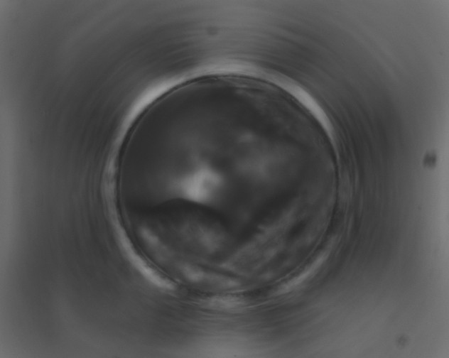 X0000094921053200712131510