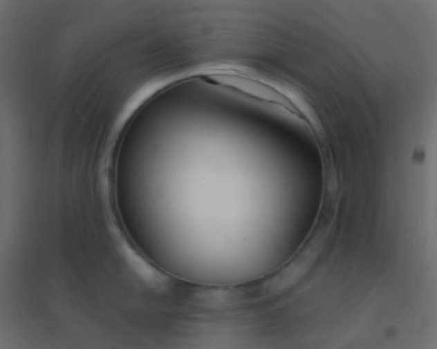 X0000094921054200712131510