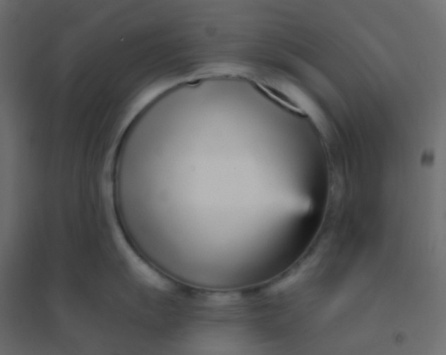 X0000094921055200712131510