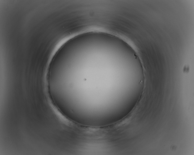 X0000094921056200712131510